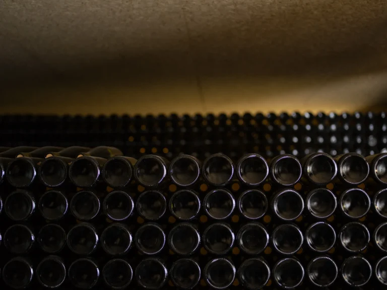 Riesling 2023 du domaine Aubach (photo d'illustration - cave d'élevage)